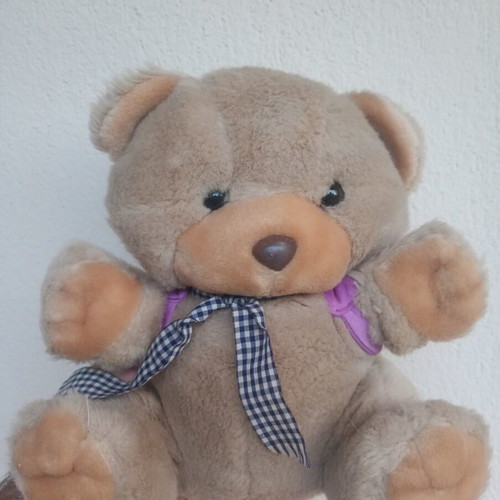 Teddy bear with backpack used