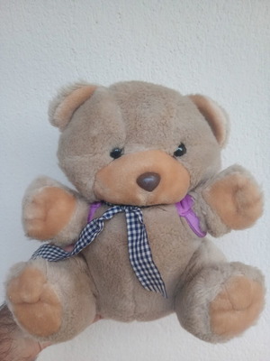 Teddy bear with backpack used