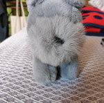 Stuffed toy in good condition