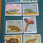Γραμματόσημα Πολωνίας 1966 Prehistoric Animals σαν καινούργια