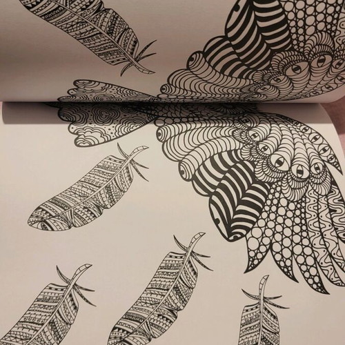 Mandalas Adult Coloring Book The Animal Kingdom like new