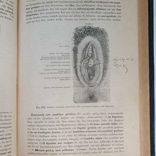 Anatomy of Man used, 1914, by N.P. Michalakeas