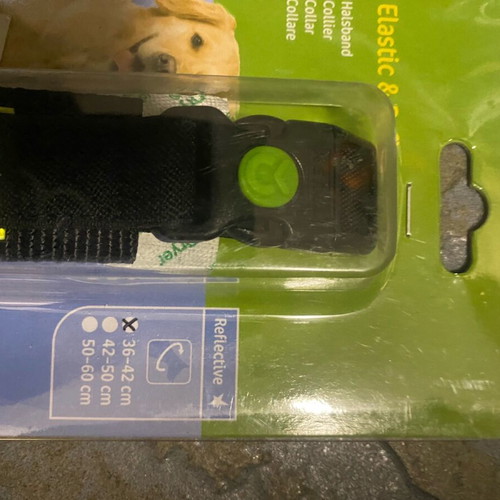 Dog collar with reflection new