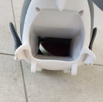 Wind-up shark toy used