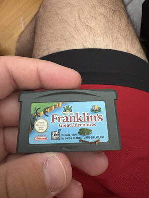 Franklin's Great Adventures game cartridge used, no box