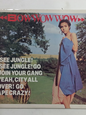 Винилова плоча Bowwowwow в много добро състояние