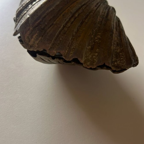 Brass press-papiers in clam shell shape like new