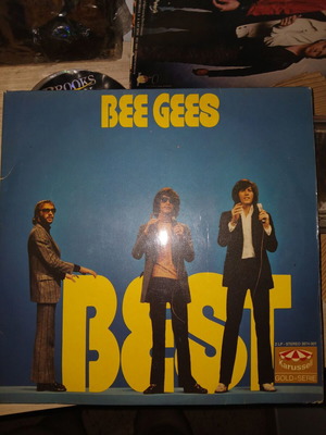 Bee Gees Best vinyl 2 LPs used, pop