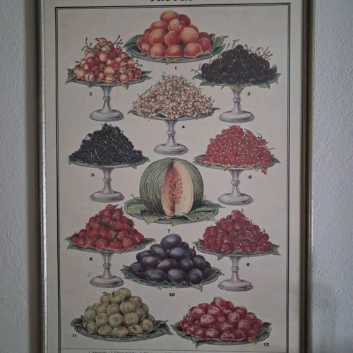 Picture in wooden frame with glass 49x73, like new, decorative fruit painting