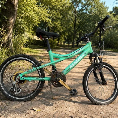 Matrix Lizzard 20" Mountain Bike children's used for ages 8-10