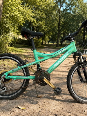 Matrix Lizzard 20" Mountain Bike children's used for ages 8-10