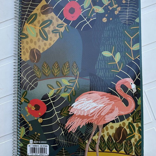 Skag notebook 2 subjects 60 sheets new unused