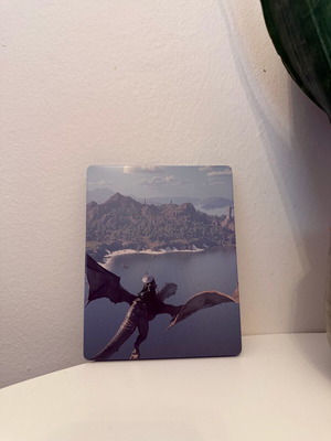 Συλλεκτική μεταλλική θήκη Steelbook Crimson Desert ps5 καινούργιο