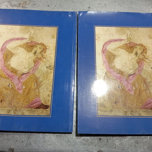 Vergina: The Royal Tombs book like new