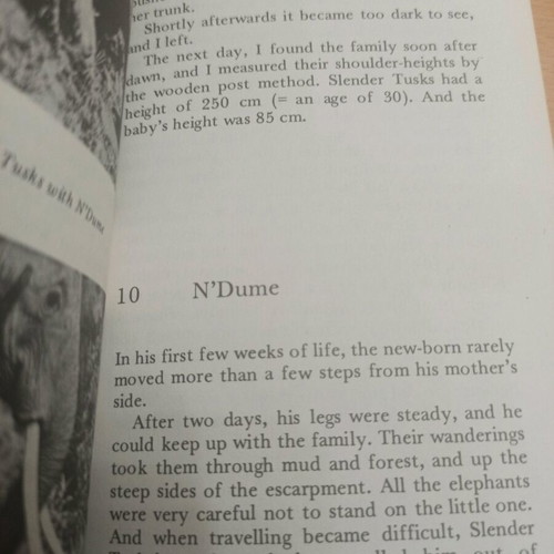 Among the Elephants book like new, English learning, Collins English Library