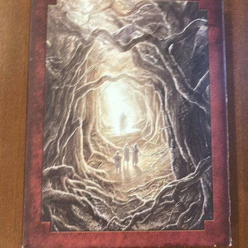 The Lord of the Rings The Two Towers Special Extended DVD Edition used