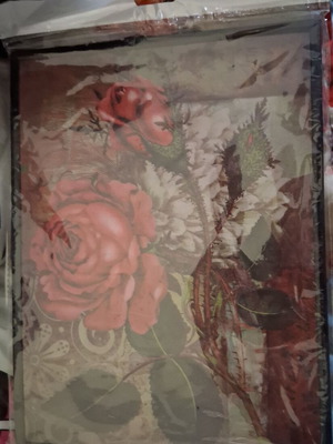 Decorative frames new from Jumbo