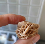 Desert Rose new