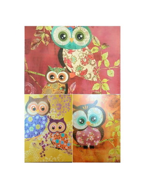 Set of 3 decorative owl frames 30x30 cm like new