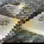  Σκουλαρίκια