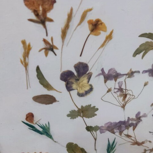 Vintage framed dried flowers 1989 used