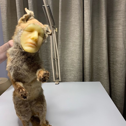 Vintage fox with wax human face used