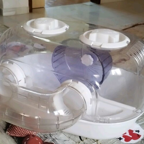 Hamster cage