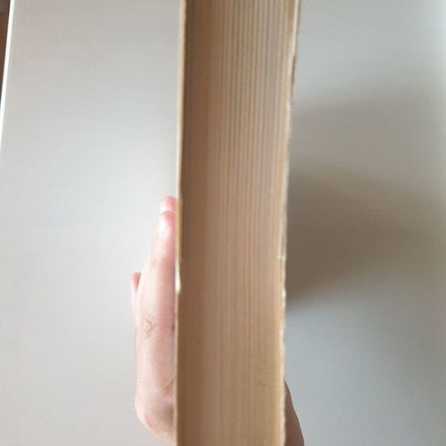 The Women of Her Life novel like new