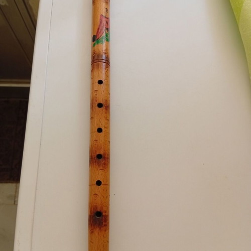 Flute musical instrument new