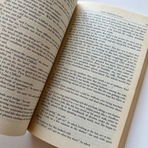 Lady Chatterley’s Lover used English book