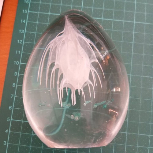 Glass paperweight like new with jellyfish design