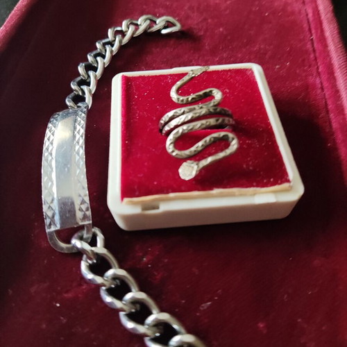 Snake ring and gift identity silver, new