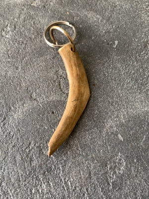 Natural horn used, as shown