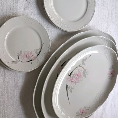 Vintage porcelain dish set Ionian like new