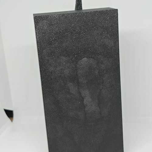 Witch-king of Angmar and Fell Beast 3D wall art like new