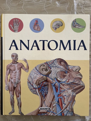 Ανατομία καινούργιο βιβλίο, συλλογικό έργο, Susaeta