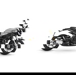  Benelli LEONCINO 2025 LEONCINO 800