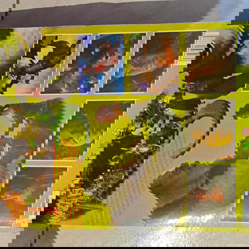 Συλλεκτικό σετ φιγούρων Shrek 3 σαν καινούργιο με Shrek και Γάτο Σον Πιέρ