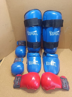 Olympus Sport Kids Karate and Taekwondo Shin Guards and Gloves Set used