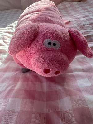 Go kids travel pillow used, pig design