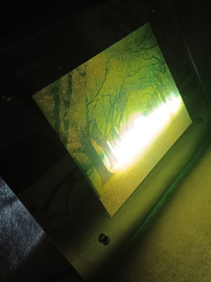 Mirror frame with light and landscape print new