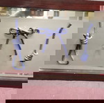  ΚΑΘΡΈΦΤΗΣ ΜΕ ΔΙΑΚΟΣΜΗΤΙΚΟΎΣ ΝΑΥΤΙΚΟΎΣ ΚΌΜΠΟΥΣ