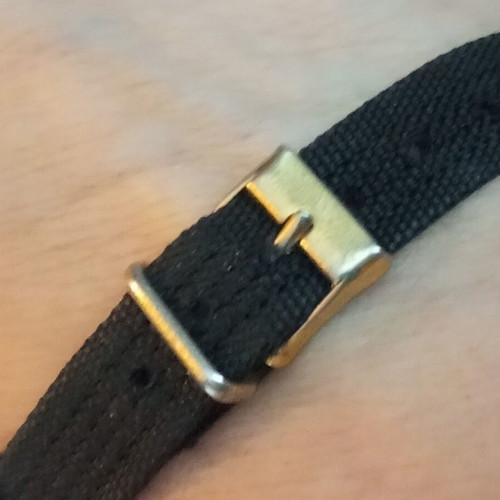 Herma Swiss plaque 10 M vintage women's watch with winding, gold plated case