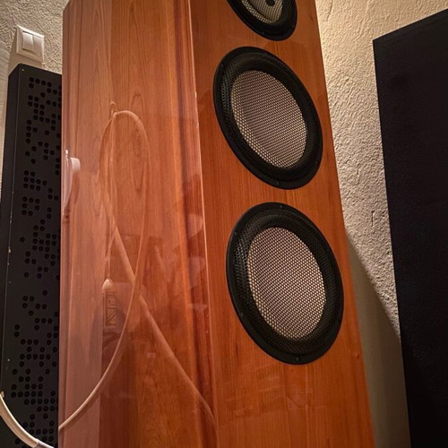 HiEnd Marten Bird speaker like new floor standing