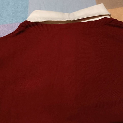Bordeaux pullover Leonard's like new with shirt front lining