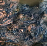 Solid brass knobs with bench theme, pack of 25 new
