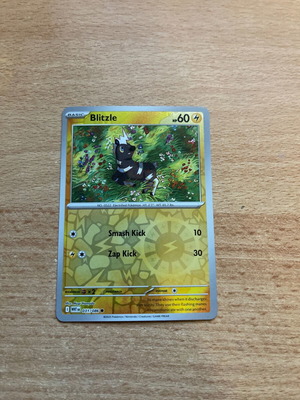 Blitzle Reverse #31 Pokemon White Flare card like new