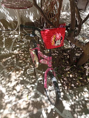 Children's bicycle with training wheels