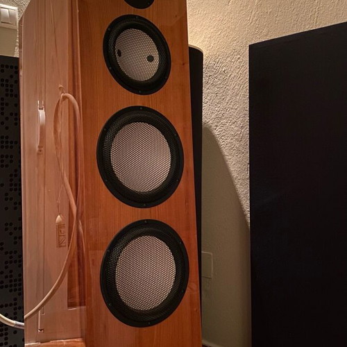 HiEnd Marten Bird speaker like new floor standing