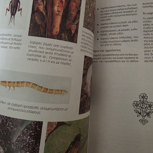 Modern Vegetable Growing book by Kosmas P. Paraskevopoulos